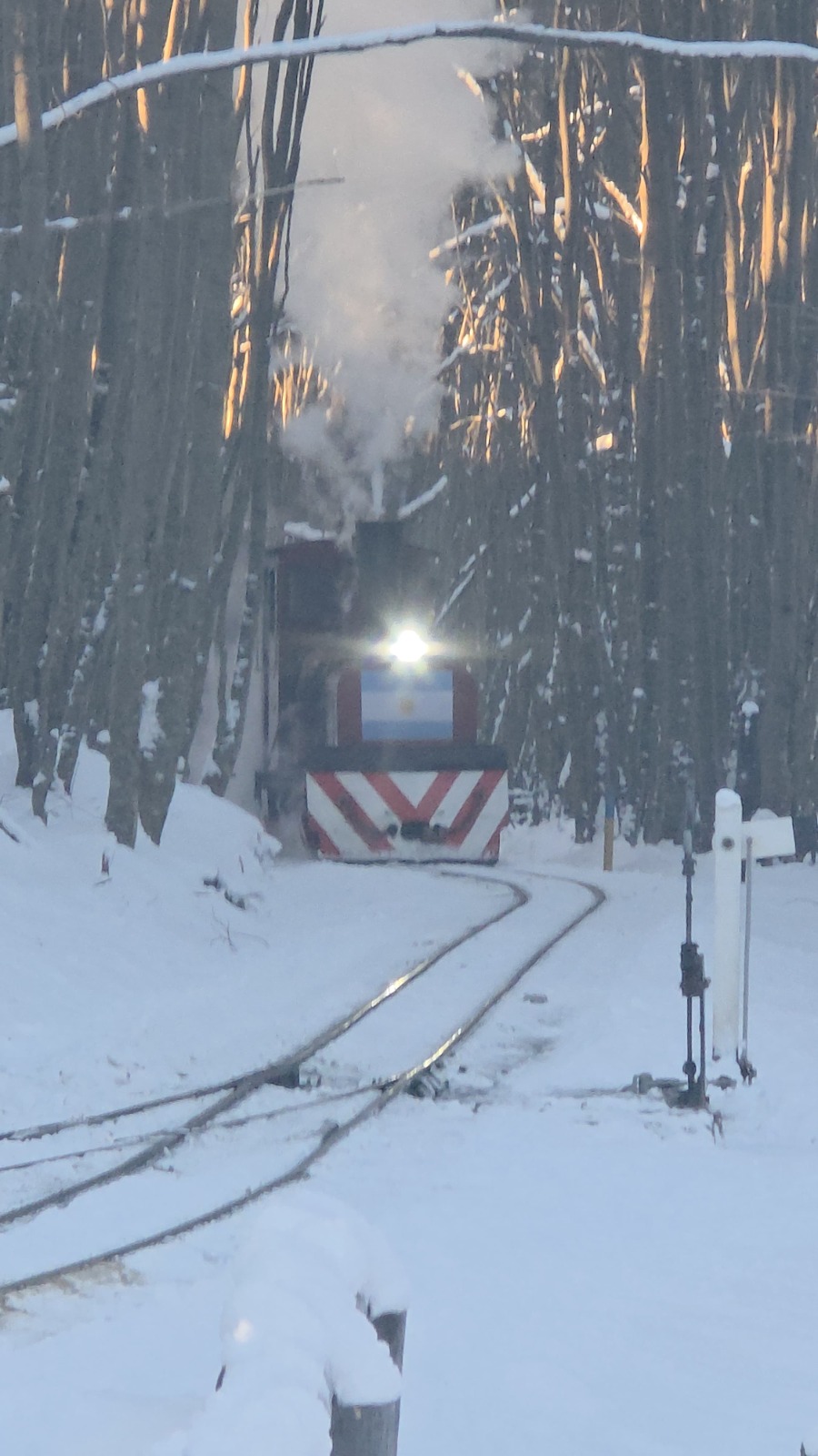 Tren del Fin del Mundo